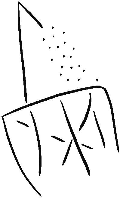 Image of the occurrence